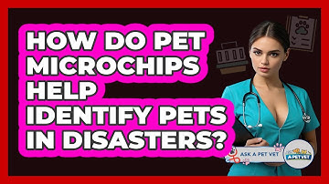 How Do Pet Microchips Help Identify Pets In Disasters? - Ask A Pet Vet