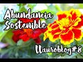Vlog || Ciclos NATURALES En HUERTO URBANO Con PERMACULTURA