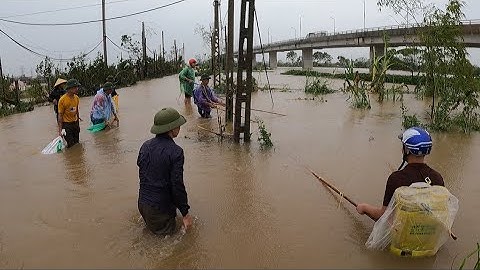 Kích Cá Mùa Mưa Lũ Người Dân Đón Đầu Dòng Nước Chảy Bắt Cá Chép, Cá Lăng, Cá Trắm Khổng Lồ