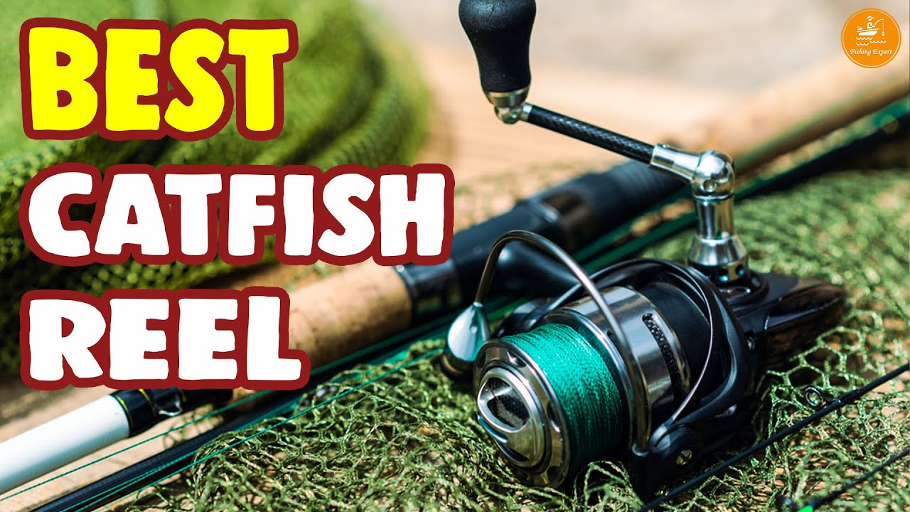 Best Catfish Reel Review – Top Guide From Experts! 