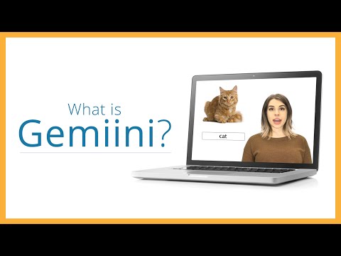 What is Gemiini?