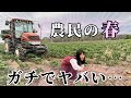 全然スローライフじゃなかった春の農作業まとめ