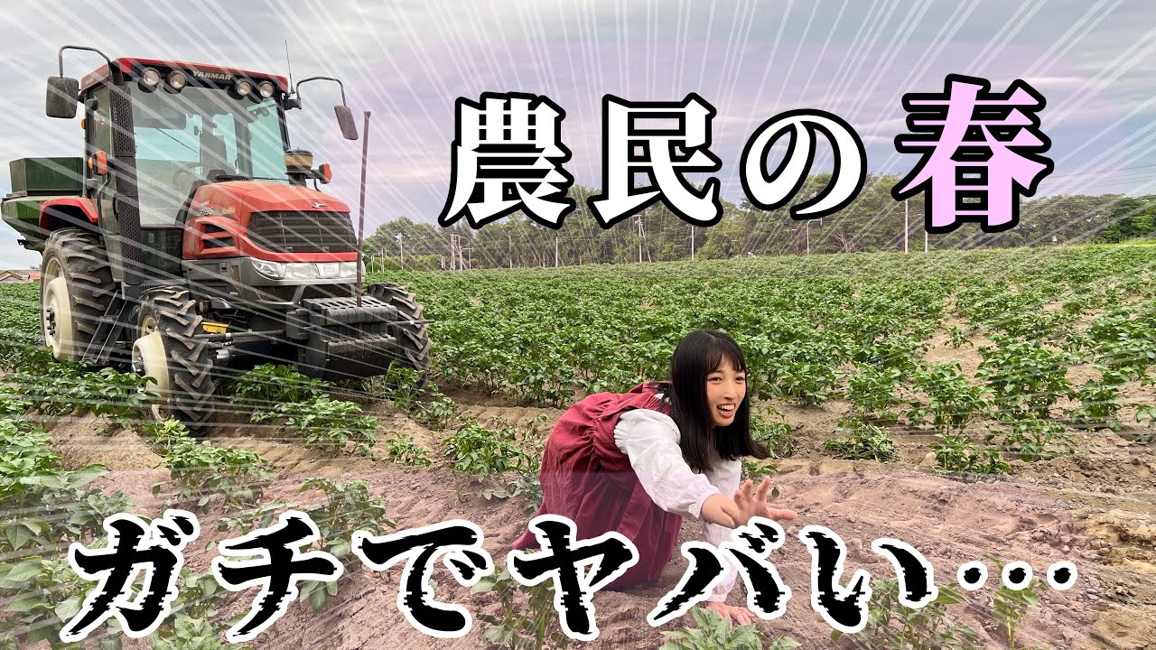 Посадочные работы в этом году наконец завершены!