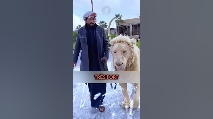 Simba, le Roi Lion de Dubaï 🦁