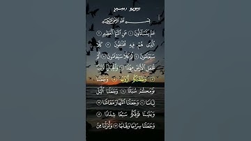 سورة النبأ ... الشيخ ماهر المعيقلي ❤🍃