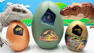 Dinosaur Egg With TRex Eyes | Dinosaur Surprise Toy With Dilophosaurus 공룡 쥬라기월드 딜로포사우루스