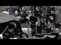 Confocal Microscope Alignment