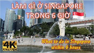 Singapore| What to do in Singapore within 6 hours