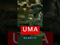 河童や、皆さん、カッパがおるで　#shorts #amazing #uma #miracle