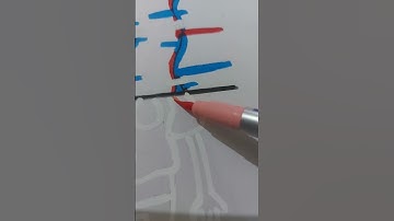 spongebob drawing in 4 different styles ll Glow side ✨️ part 3 ll #shorts