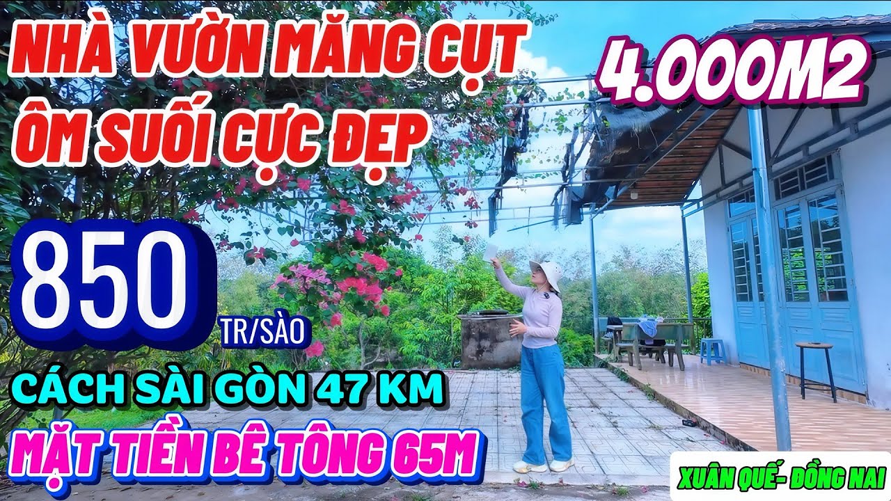 Nhà đất đồng nai,Hàng hiếm nhà vườn măng cụt, sầu riêng ôm suối đẹp quá giá rẻ nhất luôn 850tr/sào