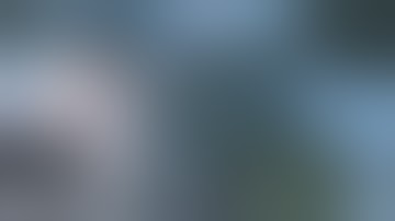 Sneaky AP mine collateral (BFV)