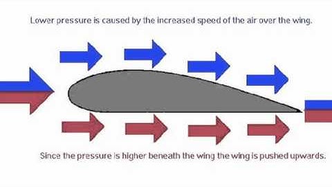 Bernoulli