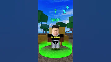 First Time Playing Blox Fruits On Roblox 