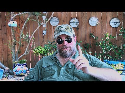 How to Get Dark Bark on Brisket | Ep 111