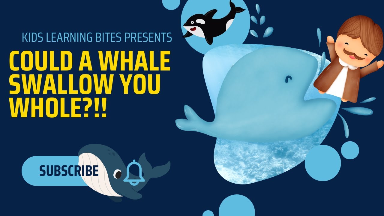 Could A Whale Swallow You Whole?!!!! - YouTube