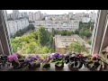 17.07. 2020 г.#домашниецветы Цветочные новости🌺🌵