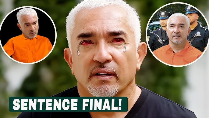 Cesar Millan In Tears After Sentenced to Life in Prison - YouTube
