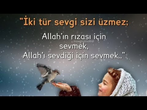 EN YENİ 🌹 EN GÜZEL 🌹 ÖZLÜ SÖZLER 🌹ETKİLEYİCİ 🌹 ANLAMLI 🌹 DÜŞÜNDÜREN 🌹KAPAK SÖZLER