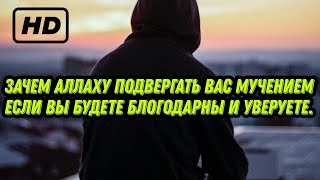 Аллах Признательны Знающий!Как Можно Его Не Любить?