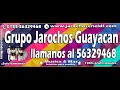 Peregrina-Trio Guayacan