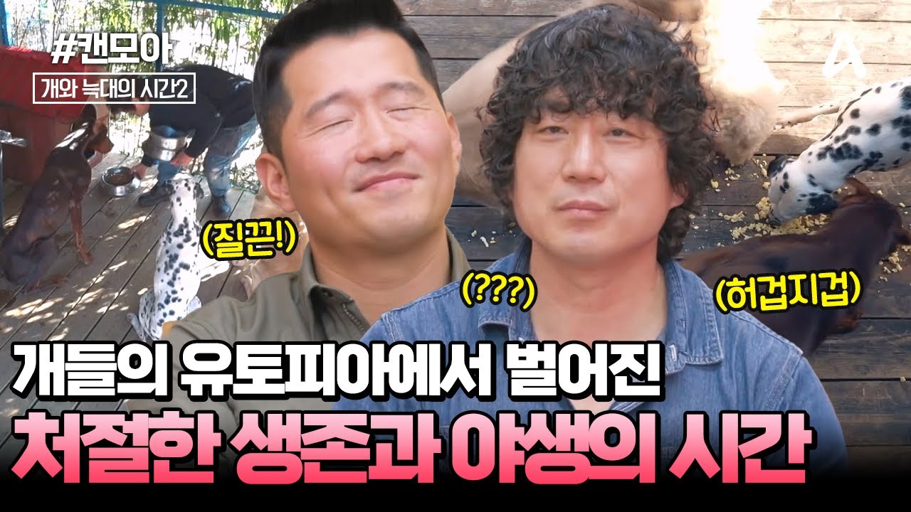 [#캔모아] 아빠 보호자가 만든 개들만의 네버랜드🎡 그 안에 숨겨진 야생과 생존의 시간...?❤️‍🩹 | 개와 늑대의 시간 시즌2 5회