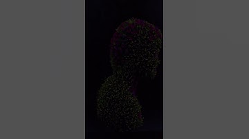 AI bloom filter in YouTube