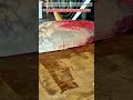 Unusual Fish Cutting Tool Machine : Perfect Tuna Block Slicing Skill
