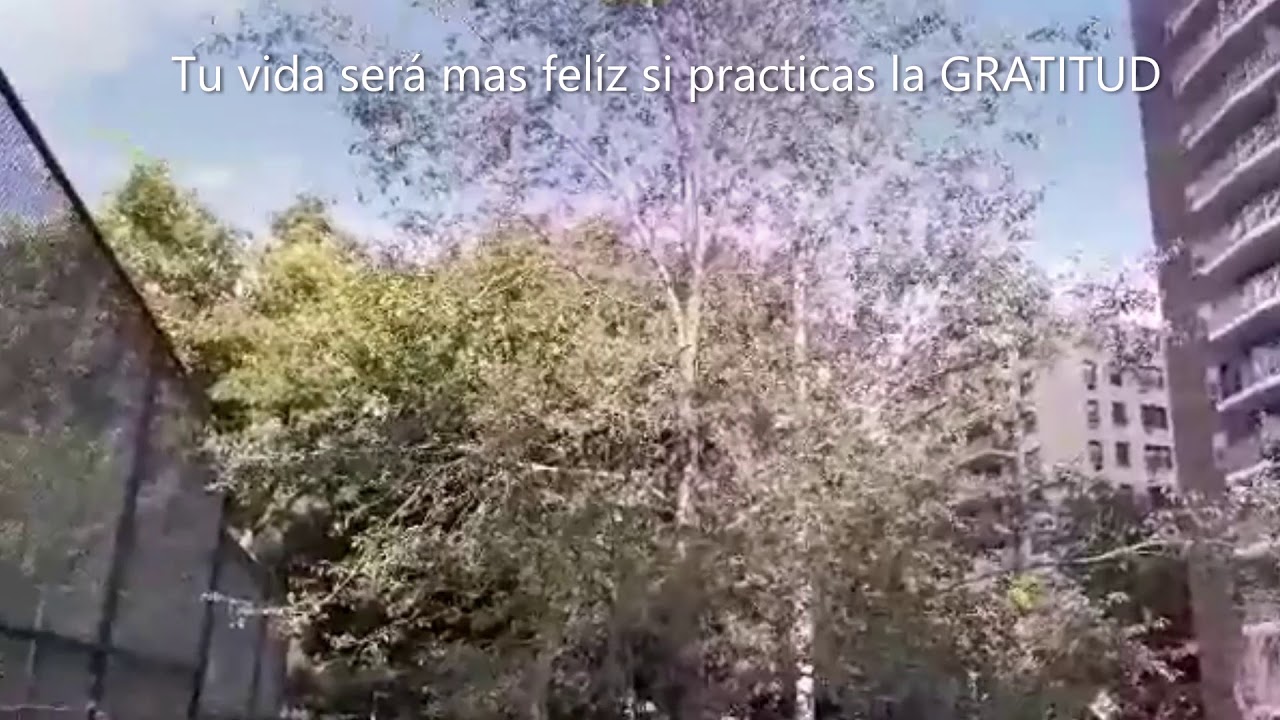 Debemos ser agradecidos