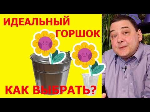 Видео: Какого размера горшок для многотысячной матери?