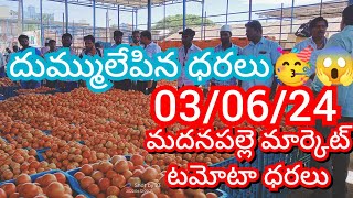 03-06-24 Madanapalle Tomato Market price Today || Today Tomato Market Rate in Madanapalle #today