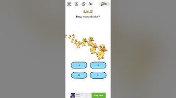 Brain Out level 2 - How many ducks?