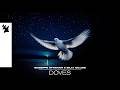 Giuseppe Ottaviani & Billy Gillies - Doves (Official Visualizer)
