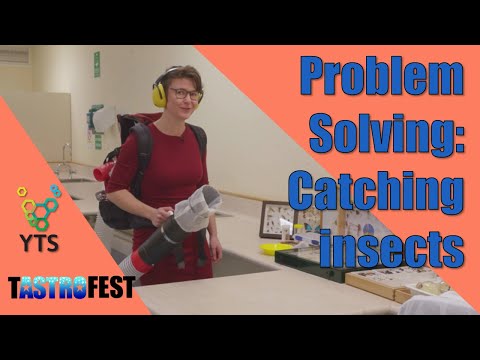 Problem Solving: Catching Insects with Shasta Henry