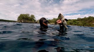 Tongan fisherman successfully spears a large fish for dinner