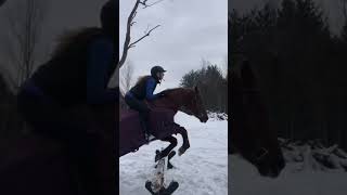 Bareback jumping edit 🔥🔥🔥 #horse #equestrian #horseriding #jumping