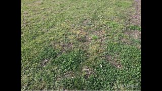 Homes for sale - 0 Co Rd 1193, Vinemont, AL 35179