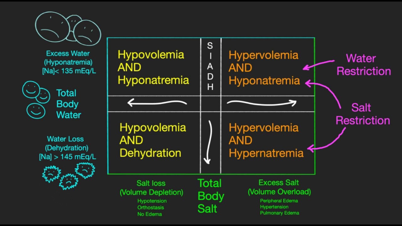 Separating Salt and Water Disorders YouTube
