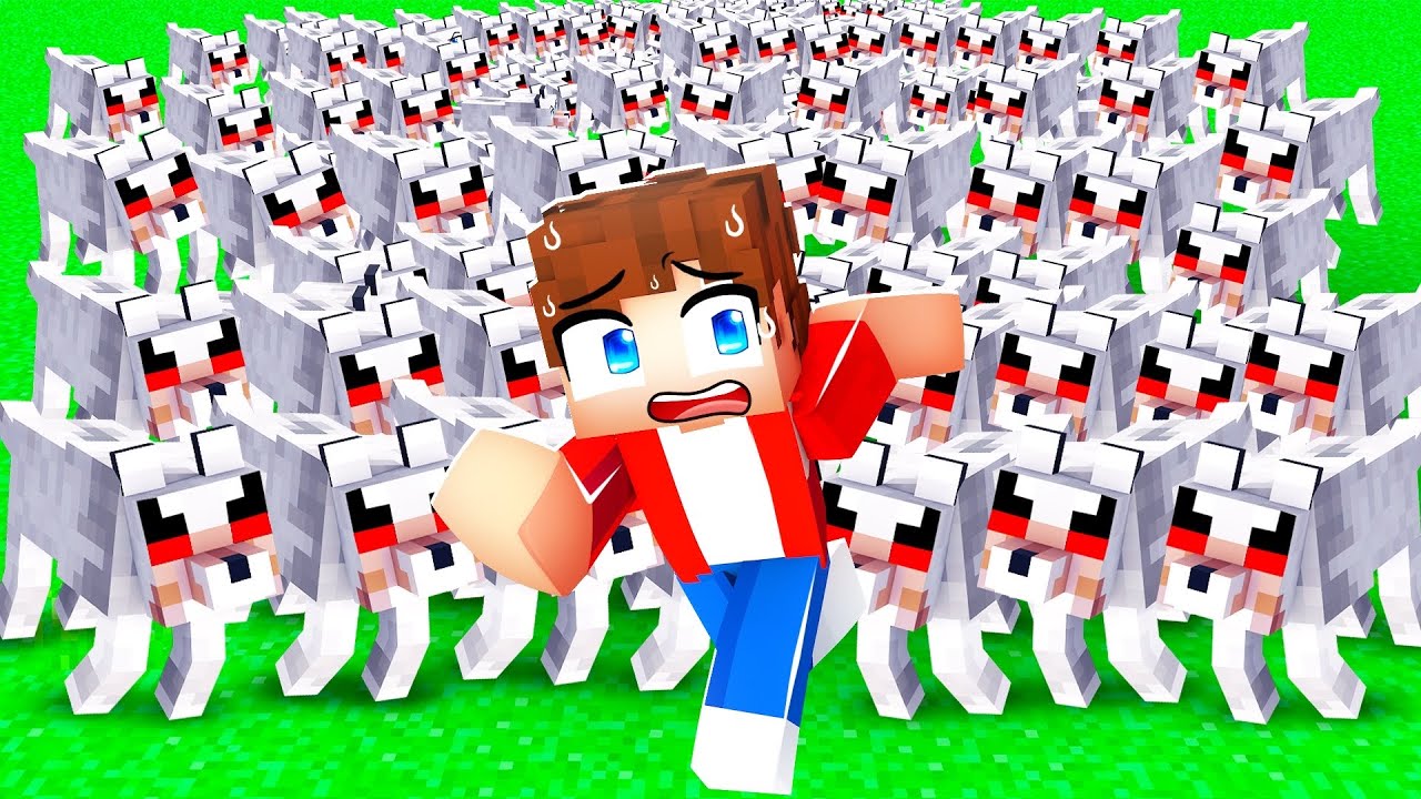 Breeding 1,000 Wolves To Troll My Friend in Minecraft!