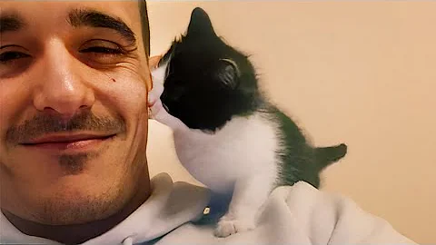 Husbands Who Fell In Love With The Cats They "Didn't" Want 🤣