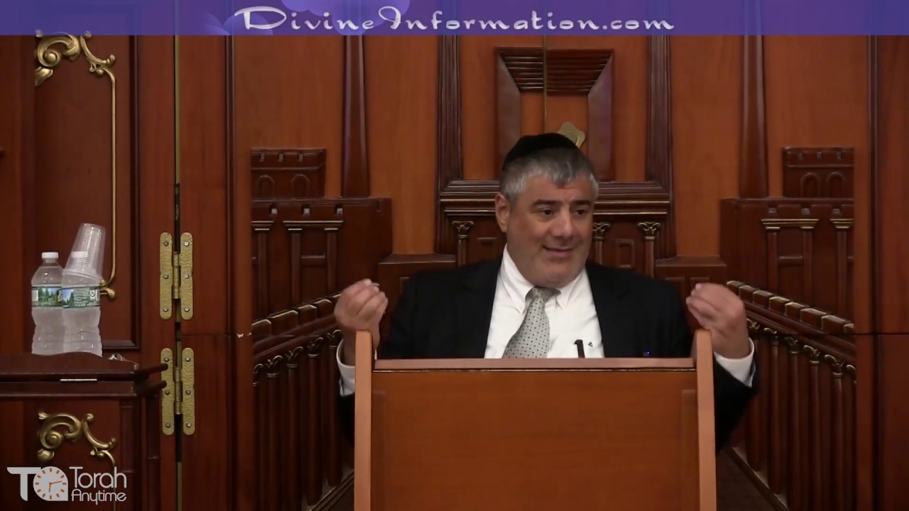 A Restart of The World - Parsha Noah
