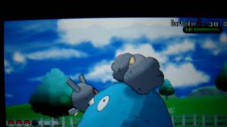Wild Shiny Garbodor in XY Friend Safari