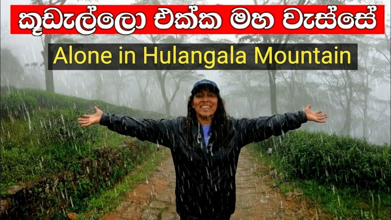 කූඩැල්ලො ගෙදර ගෙනාවා 😬 තනියම මහ වැස්සේ මීදුම් මැදින් හුලංගලට | KELLA 🇱🇰 