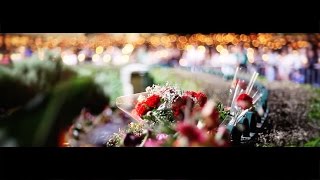 Hotel Anjo de Portugal | Hotel Anjo de Portugal