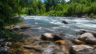 Fall Asleep Fast with Gentle River Sounds | No Music, Just Nature (relaxing video )