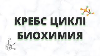 КРЕБС ЦИКЛІ || ТҮСІНІКТІ ТІЛДЕ КӨМІРСУ АЛМАСУЫНЫҢ БИОХИМИЯСЫ