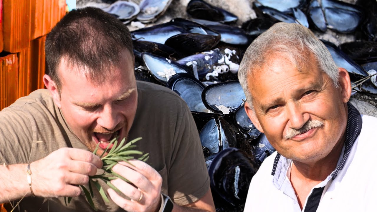 INTONACO ECOLOGICO fai da te: COCCIOPESTO, CALCE, e CONCHIGLIE (e RUCOLA!!!)