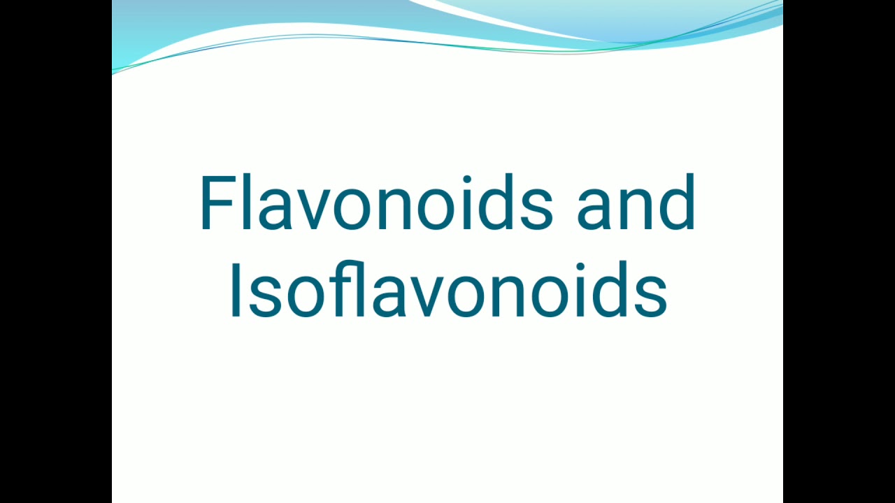 Flavonoids part1 YouTube