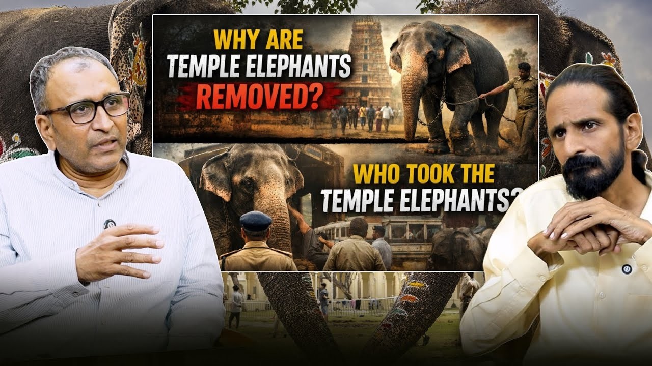 The Shocking Truth Behind Temple Elephants’ Disappearance: Murali- Animal Activist