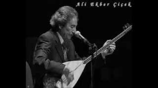 Ali Ekber Cicek - Haydar Haydar